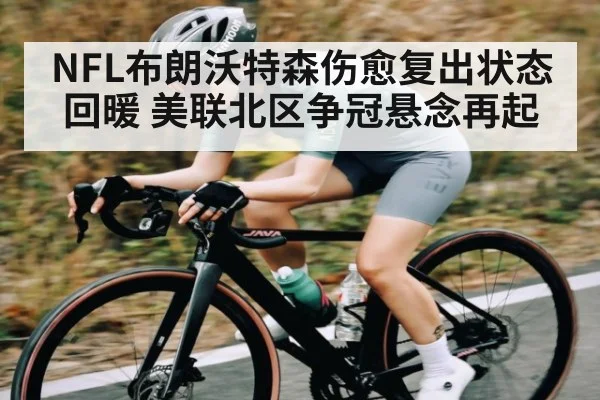 NFL布朗沃特森伤愈复出状态回暖 美联北区争冠悬念再起