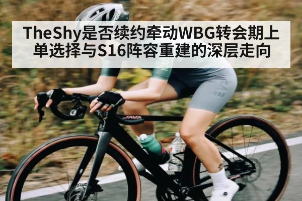 TheShy是否续约牵动WBG转会期上单选择与S16阵容重建的深层走向